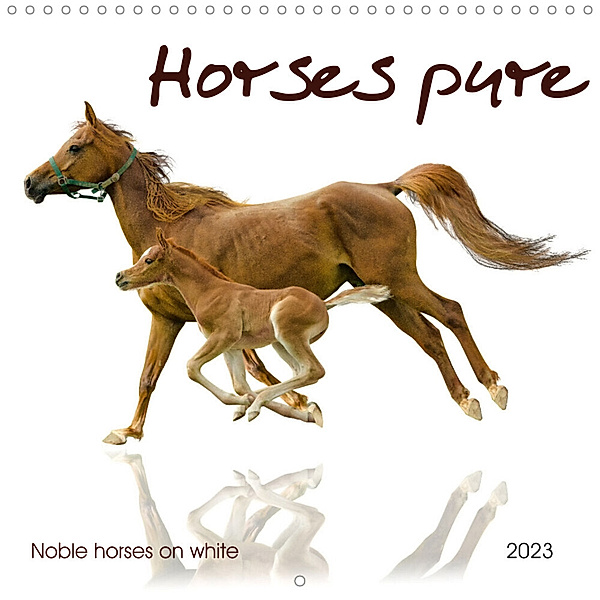 Horses pure noble horses on white (Wall Calendar 2023 300 × 300 mm Square), Kerstin Waurick