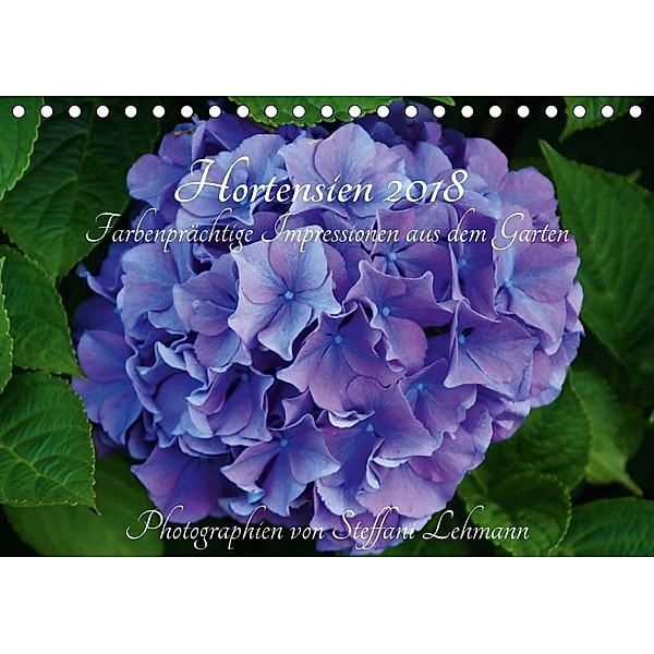 Hortensien 2018 - Farbenprächtige Impressionen aus dem Garten (Tischkalender 2018 DIN A5 quer), Steffani Lehmann