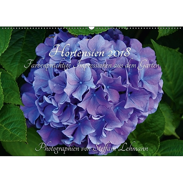 Hortensien 2018 - Farbenprächtige Impressionen aus dem Garten (Wandkalender 2018 DIN A2 quer), Steffani Lehmann