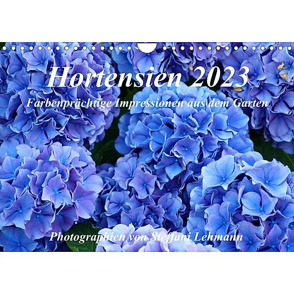 Hortensien 2023. Farbenprächtige Impressionen aus dem Garten (Wandkalender 2023 DIN A4 quer), Steffani Lehmann