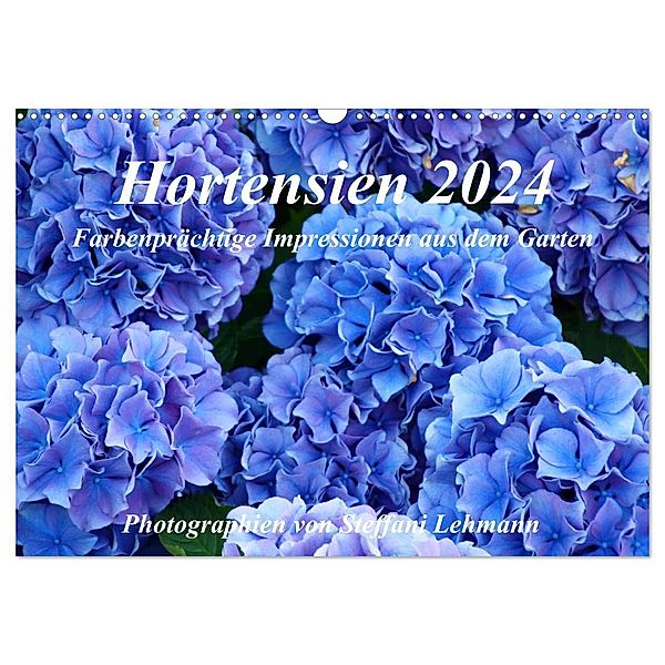 Hortensien 2024. Farbenprächtige Impressionen aus dem Garten (Wandkalender 2024 DIN A3 quer), CALVENDO Monatskalender, Steffani Lehmann