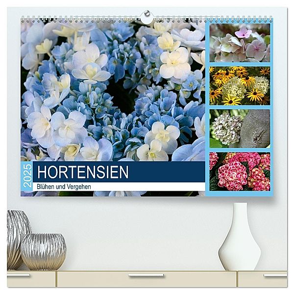 Hortensien Blühen und Vergehen (hochwertiger Premium Wandkalender 2025 DIN A2 quer), Kunstdruck in Hochglanz, Calvendo, Gisela Kruse