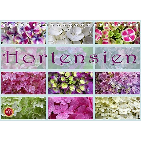 Hortensien / Geburtstagskalender (Tischkalender 2023 DIN A5 quer), Martina Cross