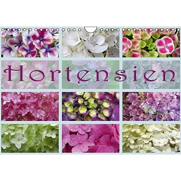 Hortensien / Geburtstagskalender (Wandkalender 2015 DIN A4 quer), Martina Cross
