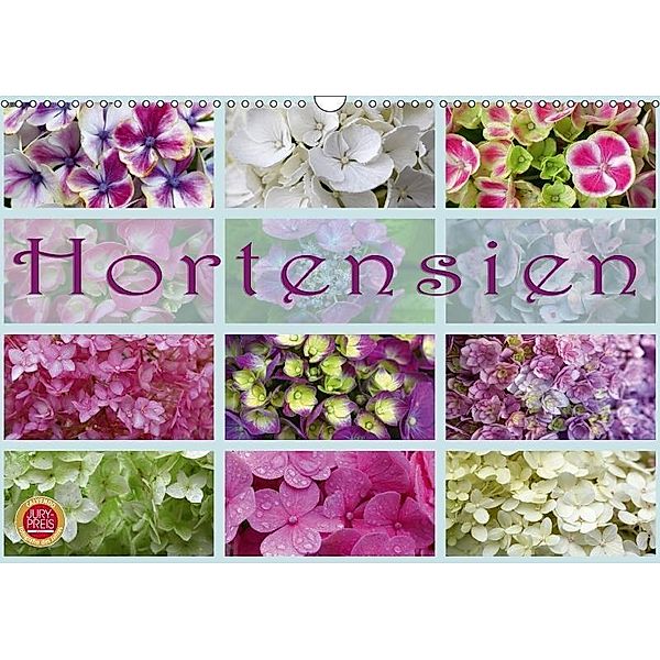 Hortensien / Geburtstagskalender (Wandkalender 2017 DIN A3 quer), Martina Cross