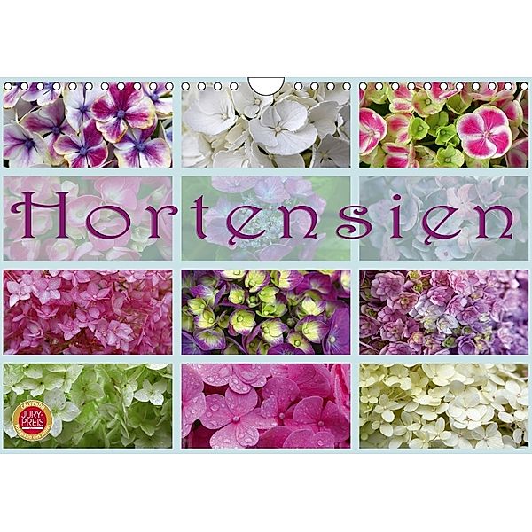 Hortensien / Geburtstagskalender (Wandkalender 2018 DIN A4 quer), Martina Cross