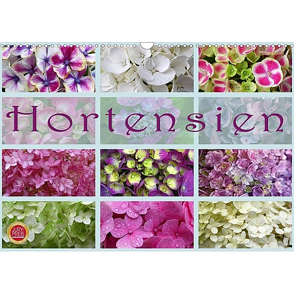 Hortensien / Geburtstagskalender (Wandkalender 2023 DIN A3 quer), Martina Cross