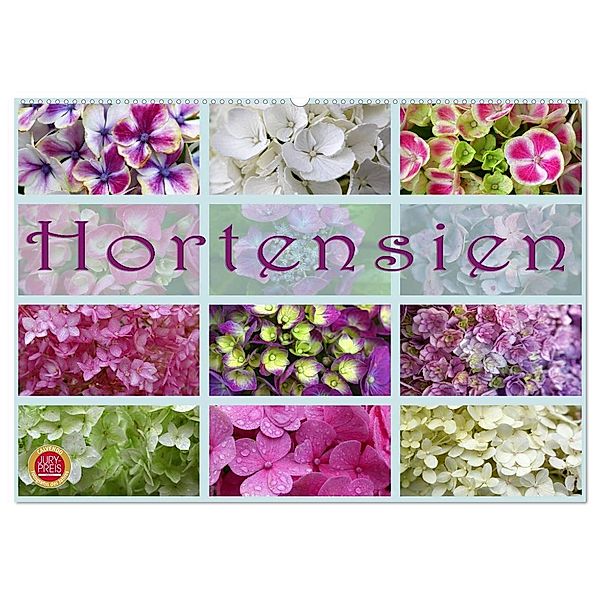 Hortensien / Geburtstagskalender (Wandkalender 2024 DIN A2 quer), CALVENDO Monatskalender, Martina Cross