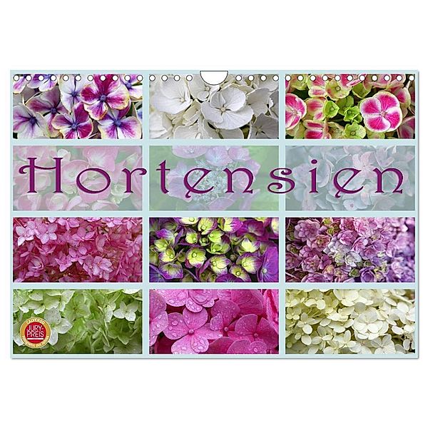 Hortensien / Geburtstagskalender (Wandkalender 2024 DIN A4 quer), CALVENDO Monatskalender, Martina Cross