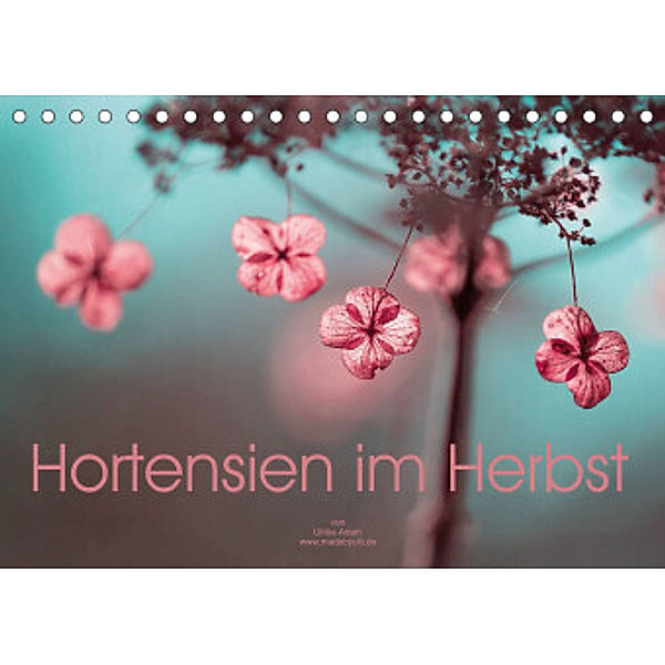 Hortensien im Herbst (Tischkalender 2022 DIN A5 quer), Ulrike Adam