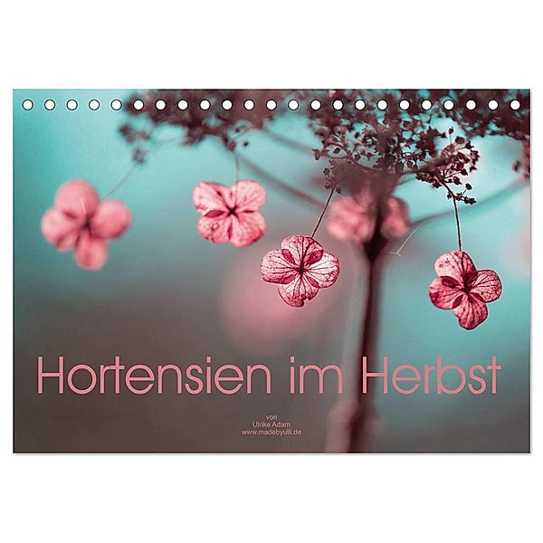 Hortensien im Herbst (Tischkalender 2024 DIN A5 quer), CALVENDO Monatskalender, Ulrike Adam