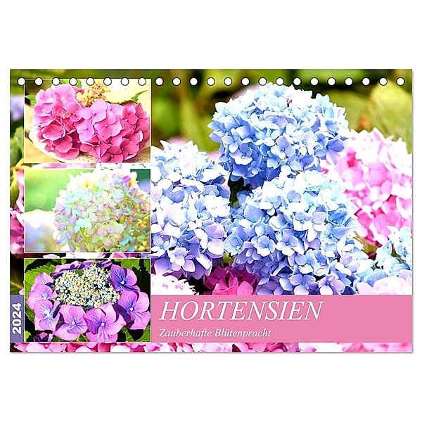 Hortensien. Zauberhafte Blütenpracht (Tischkalender 2024 DIN A5 quer), CALVENDO Monatskalender, Rose Hurley