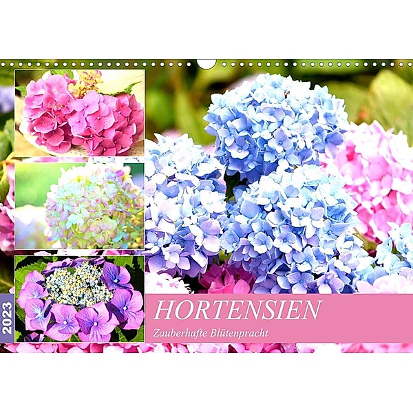 Hortensien. Zauberhafte Blütenpracht (Wandkalender 2023 DIN A3 quer), Rose Hurley