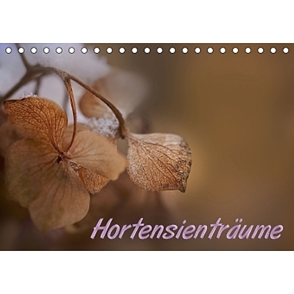 Hortensienträume (Tischkalender 2016 DIN A5 quer), Petra Voß