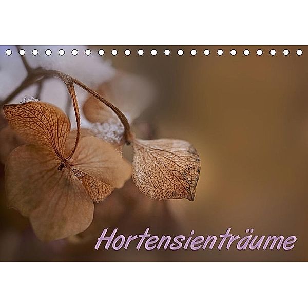 Hortensienträume (Tischkalender 2017 DIN A5 quer), Petra Voß