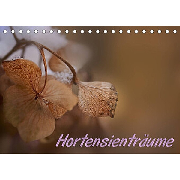 Hortensienträume (Tischkalender 2022 DIN A5 quer), Petra Voß