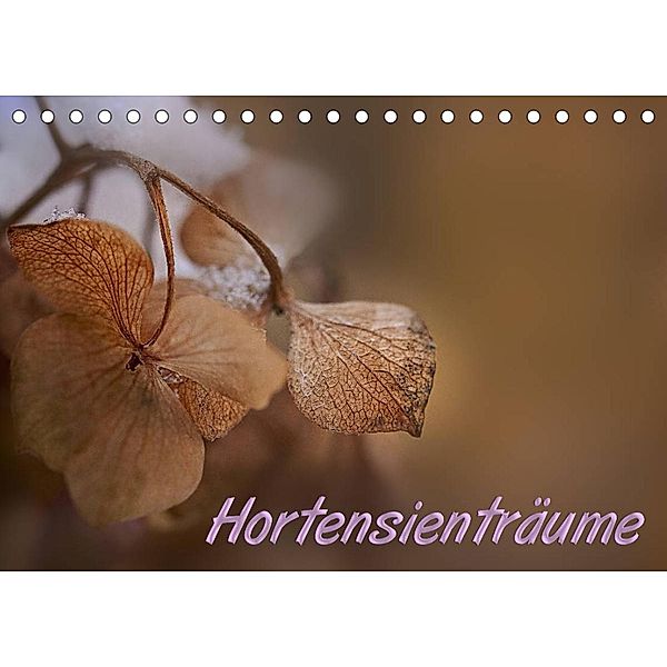 Hortensienträume (Tischkalender 2023 DIN A5 quer), Petra Voß