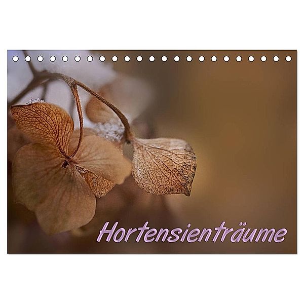 Hortensienträume (Tischkalender 2024 DIN A5 quer), CALVENDO Monatskalender, Petra Voss