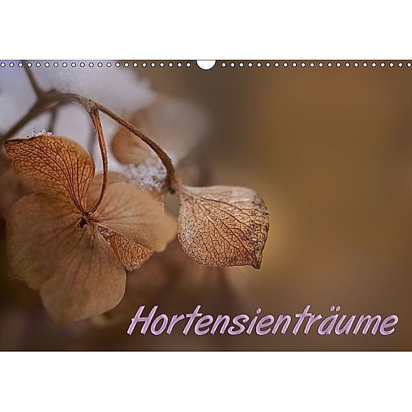 Hortensienträume (Wandkalender 2018 DIN A3 quer) Dieser erfolgreiche Kalender wurde dieses Jahr mit gleichen Bildern und, Petra Voß