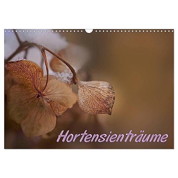 Hortensienträume (Wandkalender 2024 DIN A3 quer), CALVENDO Monatskalender, Petra Voß