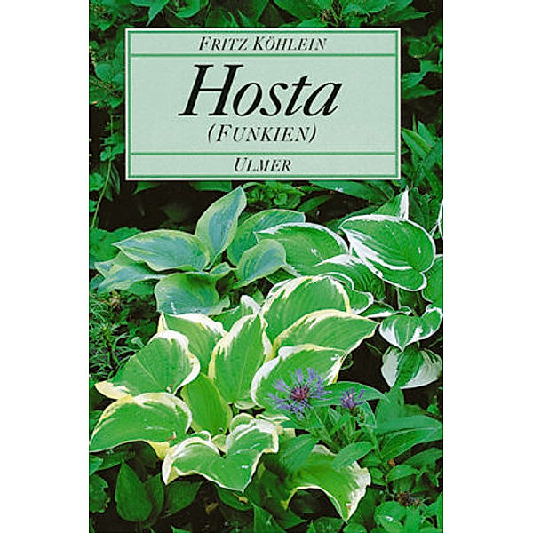 Hosta (Funkien), Fritz Köhlein