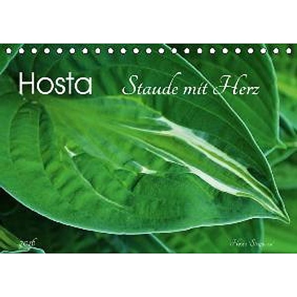 Hosta Staude mit Herz (Tischkalender 2016 DIN A5 quer), Jutta Heußlein