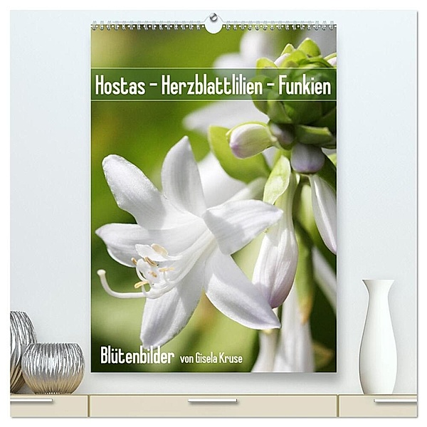 Hostas Herzblattlilien Funkien (hochwertiger Premium Wandkalender 2024 DIN A2 hoch), Kunstdruck in Hochglanz, Gisela Kruse