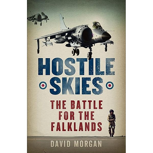 Hostile Skies, David Morgan