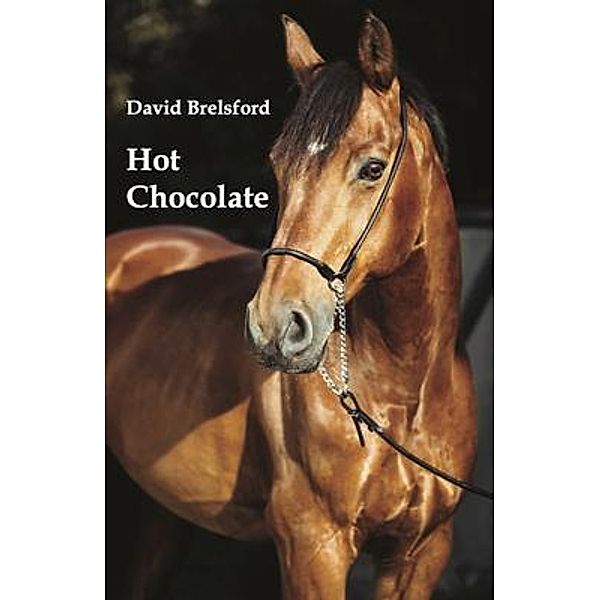 Hot Chocolate, David Brelsford