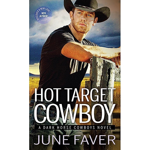 Hot Target Cowboy / Dark Horse Cowboys Bd.2, June Faver