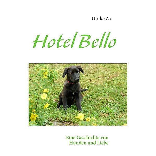 Hotel Bello, Ulrike Ax