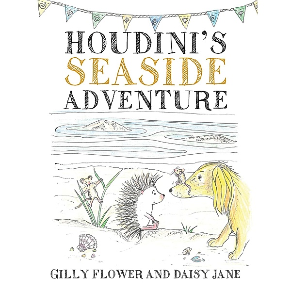 Houdini's Seaside Adventure / Austin Macauley Publishers Ltd, Gilly Flower