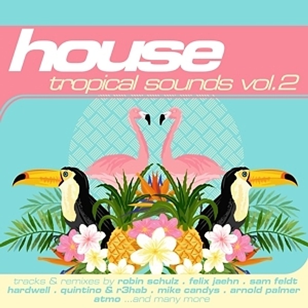 House: Tropical Sounds Vol.2, Diverse Interpreten