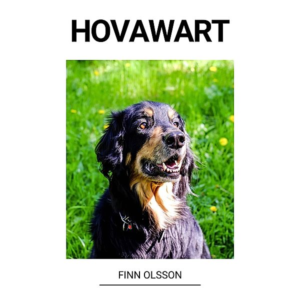 Hovawart, Finn Olsson