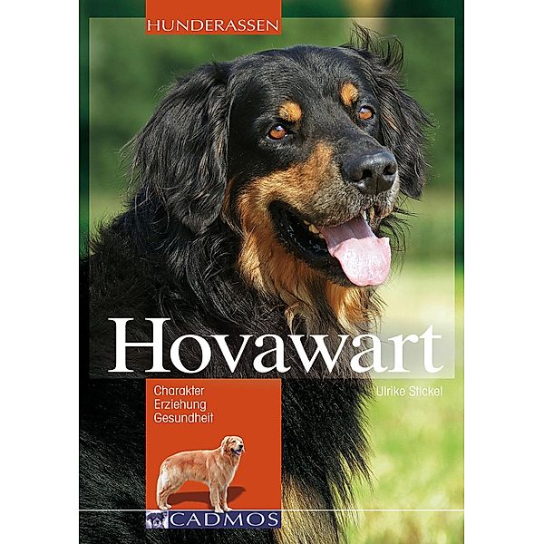 Hovawart / Hunderassen, Ulrike Stickel