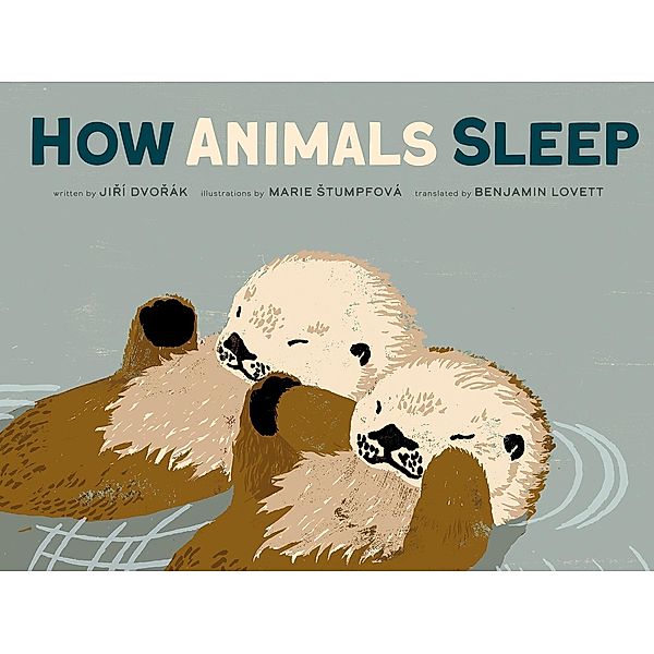 How Animals Sleep, Jir¿i´ Dvor¿a´k