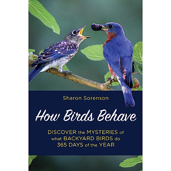How Birds Behave, Sharon Sorenson