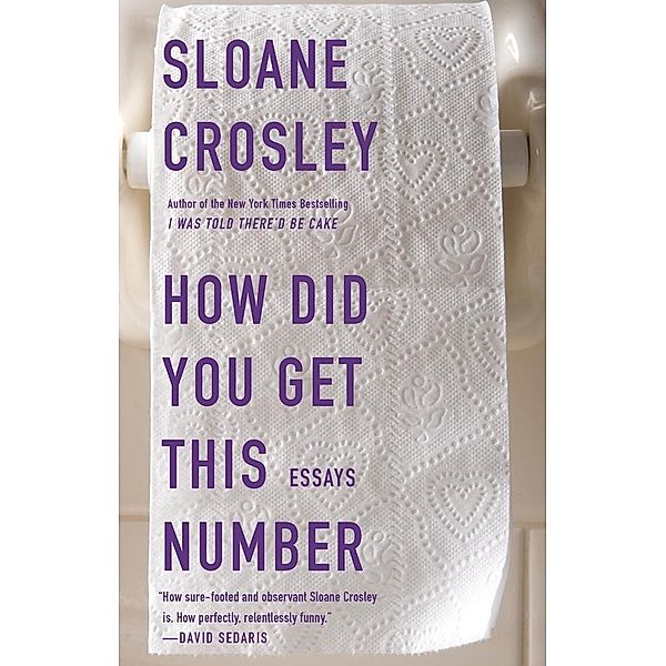 How Did You Get This Number, Sloane Crosley