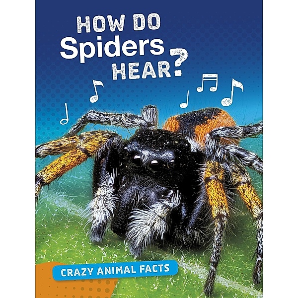 How Do Spiders Hear?, Nancy Furstinger