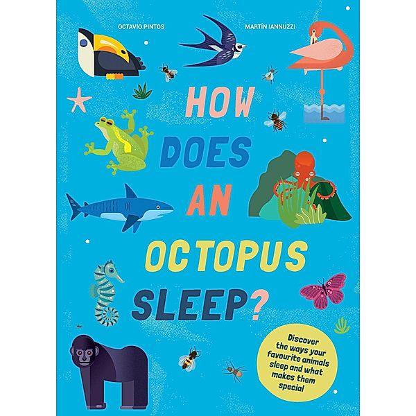 How Does An Octopus Sleep?, Martin Iannuzzi, Octavio Pintos