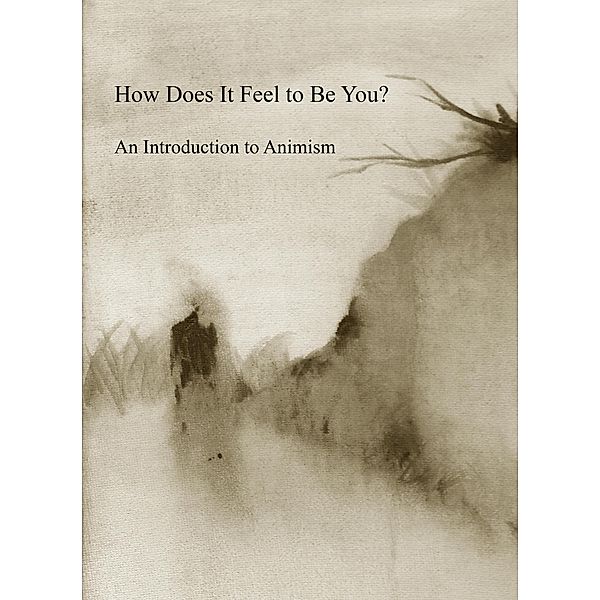 How Does It Feel to Be You? An Introduction to Animism, Oshri Hilzenrath