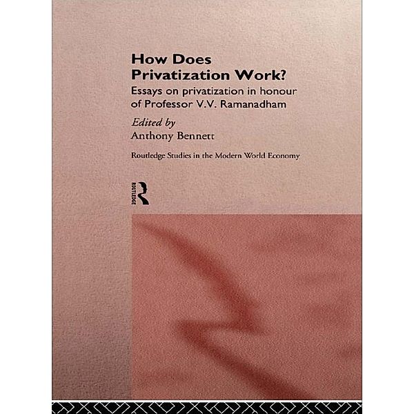 How Does Privatization Work? / Routledge Studies in the Modern World Economy