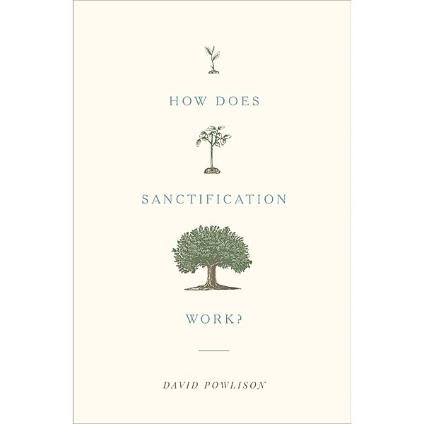How Does Sanctification Work?, David Powlison