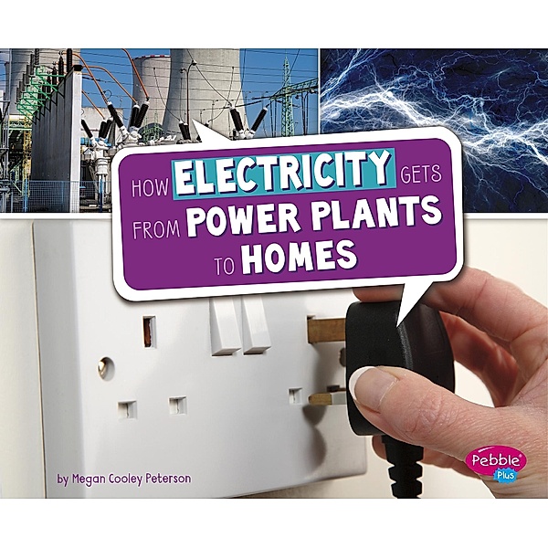 How Electricity Gets from Power Plants to Homes / Raintree Publishers, Megan Cooley Peterson