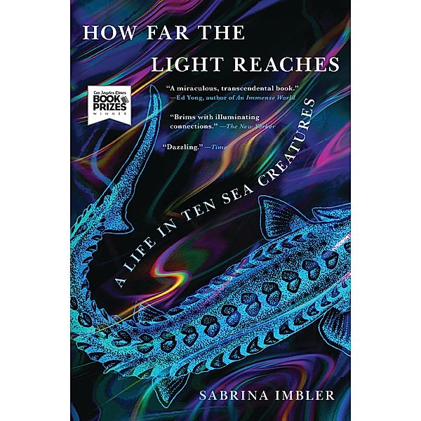 How Far the Light Reaches, Sabrina Imbler