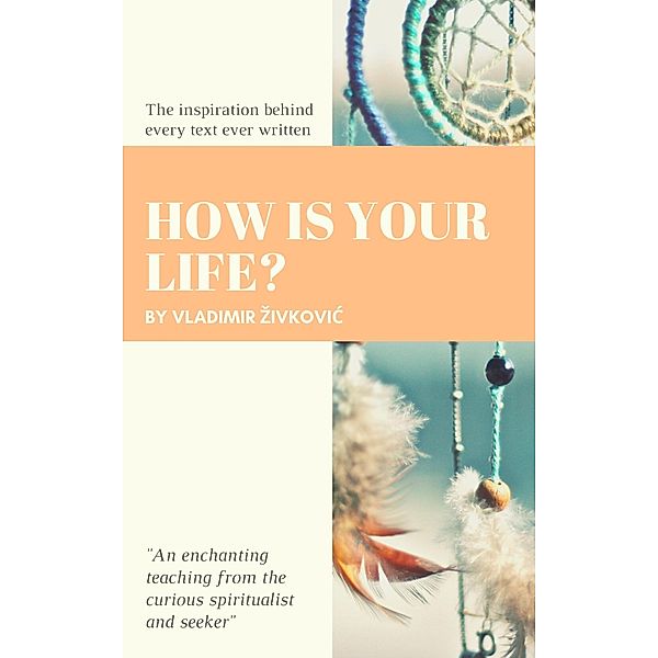 How Is Your Life?, Vladimir Zivkovic