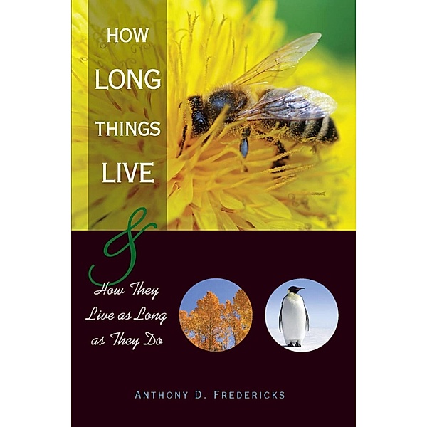 How Long Things Live, Anthony D. Fredericks