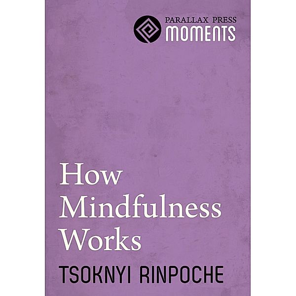 How Mindfulness Works / Parallax Press, Tsoknyi Rinpoche