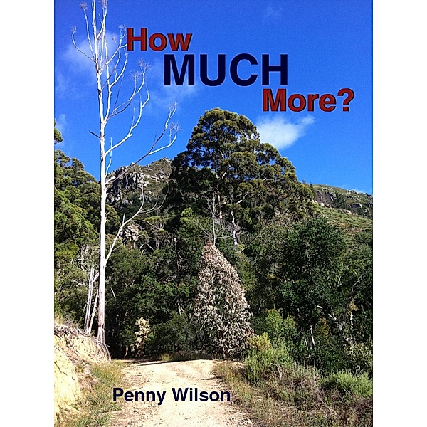 How Much More? / Truth House Publishing, Penny Wilson