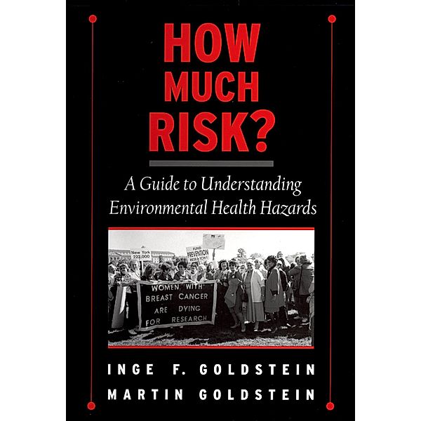 How Much Risk?, Inge F. Goldstein, Martin Goldstein